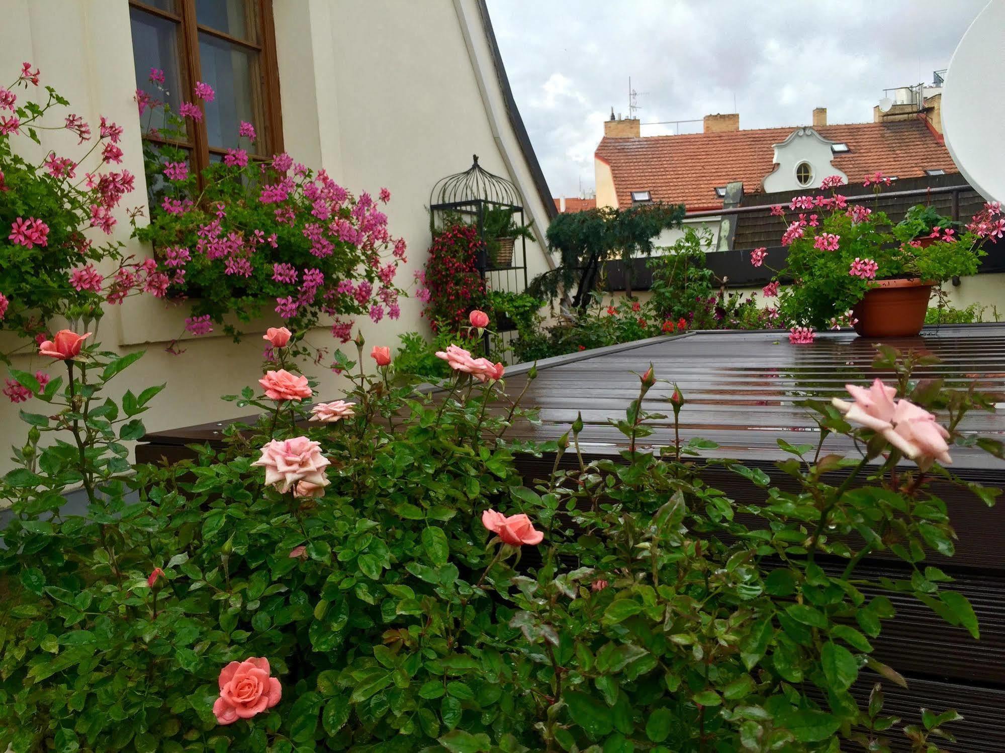 Old Town Boutique Apartments Prag Exterior foto